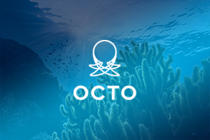 Octogroup logo and ocean background